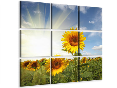 4-piece-canvas-print-sunflower-in-sunlight