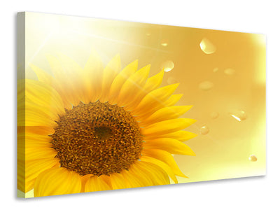 3-piece-canvas-print-sunflower-in-morning-dew