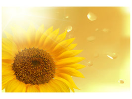 panoramic-canvas-print-sunflower-in-morning-dew