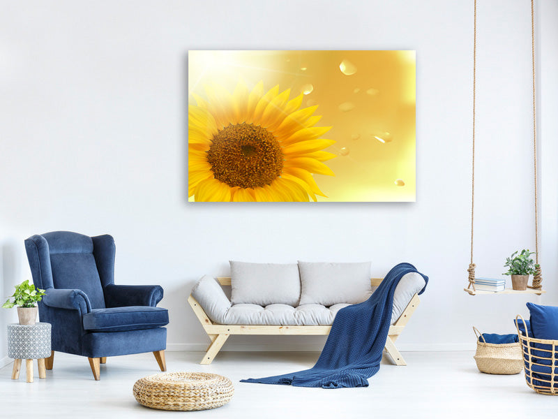 panoramic-canvas-print-sunflower-in-morning-dew