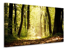 5-piece-canvas-print-sunrise-in-the-forest