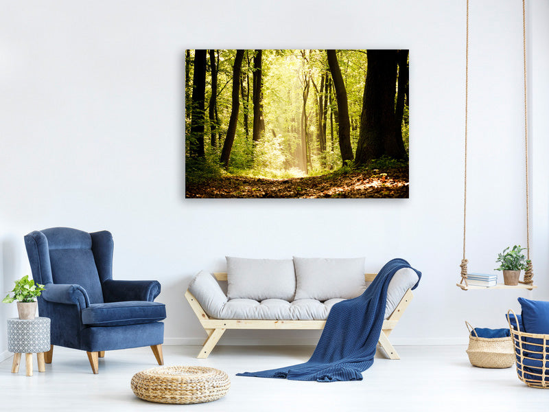 3-piece-canvas-print-sunrise-in-the-forest