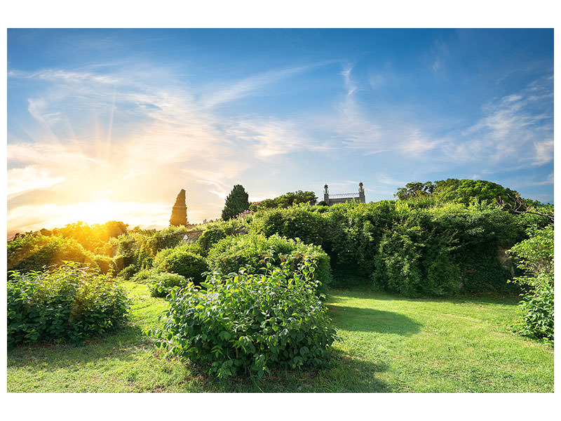 4-piece-canvas-print-sunrise-in-the-park