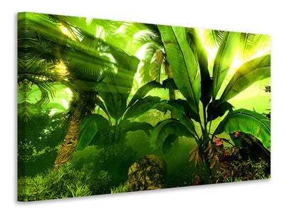5-piece-canvas-print-sunrise-in-the-rainforest