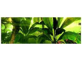5-piece-canvas-print-sunrise-in-the-rainforest