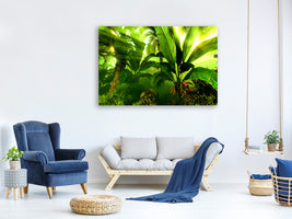 4-piece-canvas-print-sunrise-in-the-rainforest