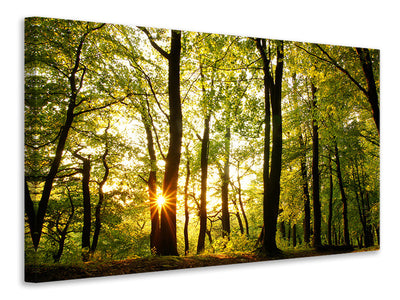 modern-4-piece-canvas-print-sunset-between-trees