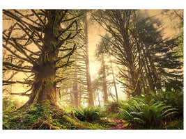 4-piece-canvas-print-sunset-in-jungle