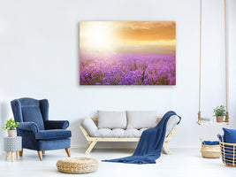 panoramic-3-piece-canvas-print-sunset-in-lavender-field