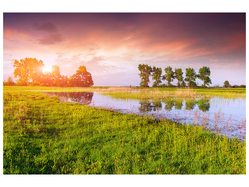 5-piece-canvas-print-sunset-on-lake