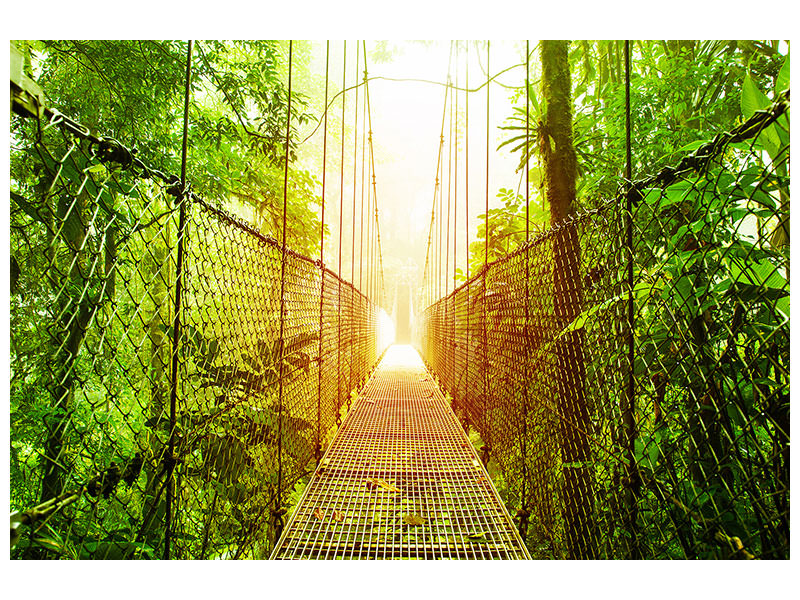 5-piece-canvas-print-suspension-bridge