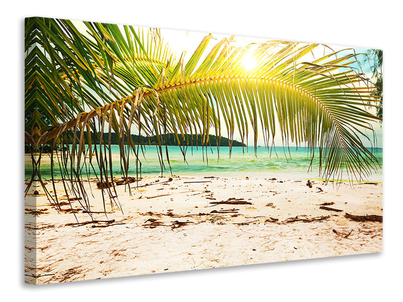 5-piece-canvas-print-swing-out-of-the-hammock