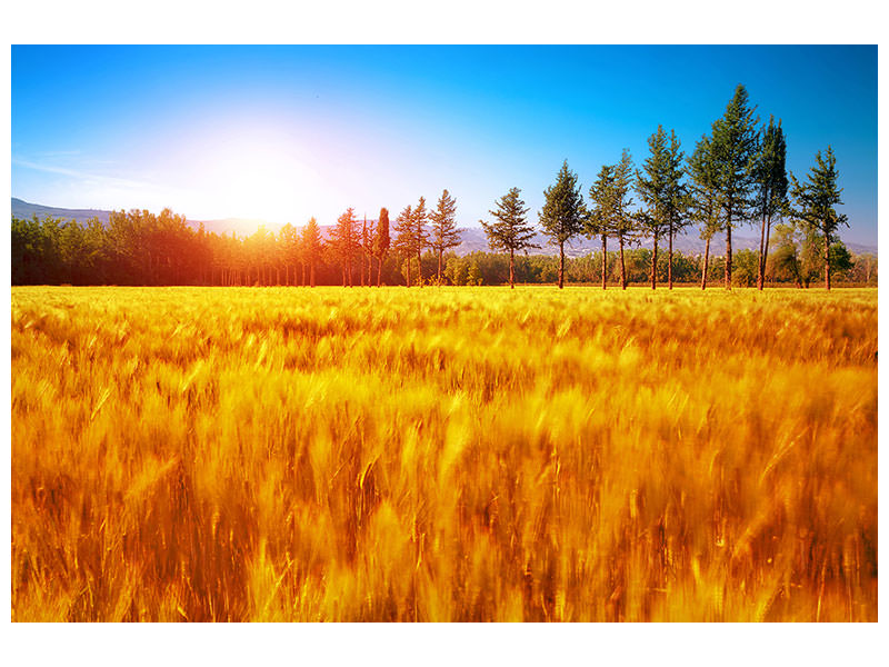 modern-4-piece-canvas-print-the-autumn