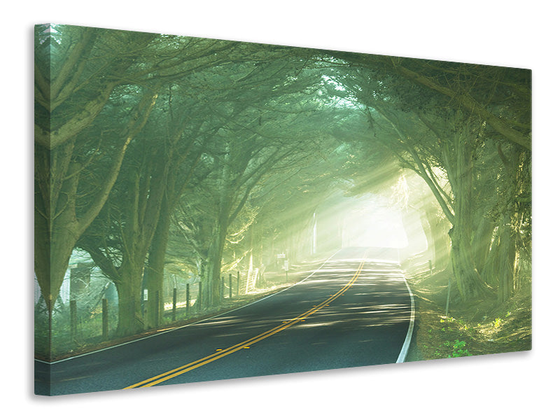 modern-4-piece-canvas-print-the-avenue