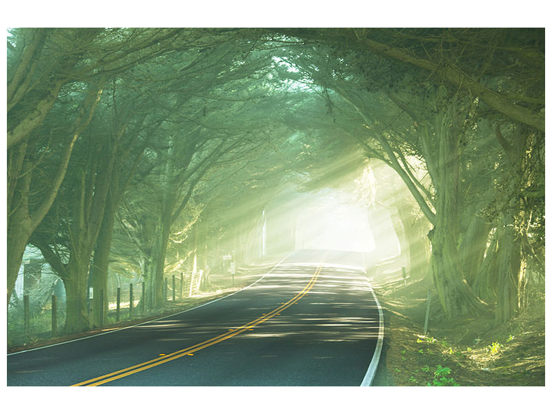 5-piece-canvas-print-the-avenue
