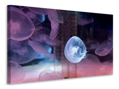 modern-4-piece-canvas-print-the-beauty-of-jellyfish