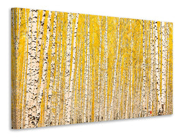 4-piece-canvas-print-the-birch-forest-in-autumn
