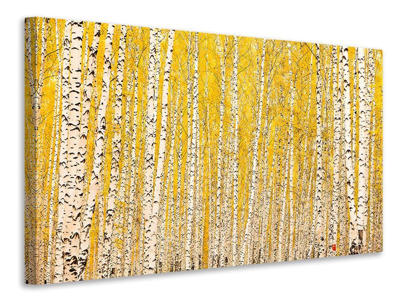 modern-3-piece-canvas-print-the-birch-forest-in-autumn