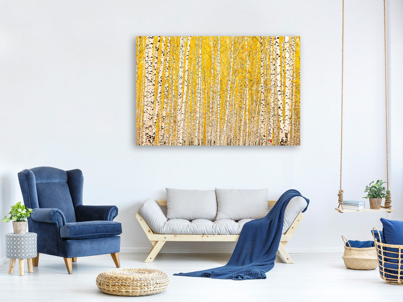 modern-3-piece-canvas-print-the-birch-forest-in-autumn