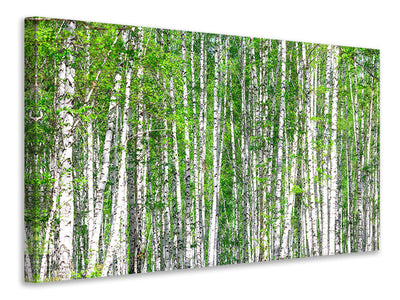 panoramic-3-piece-canvas-print-the-birch-forest