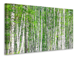 modern-4-piece-canvas-print-the-birch-forest