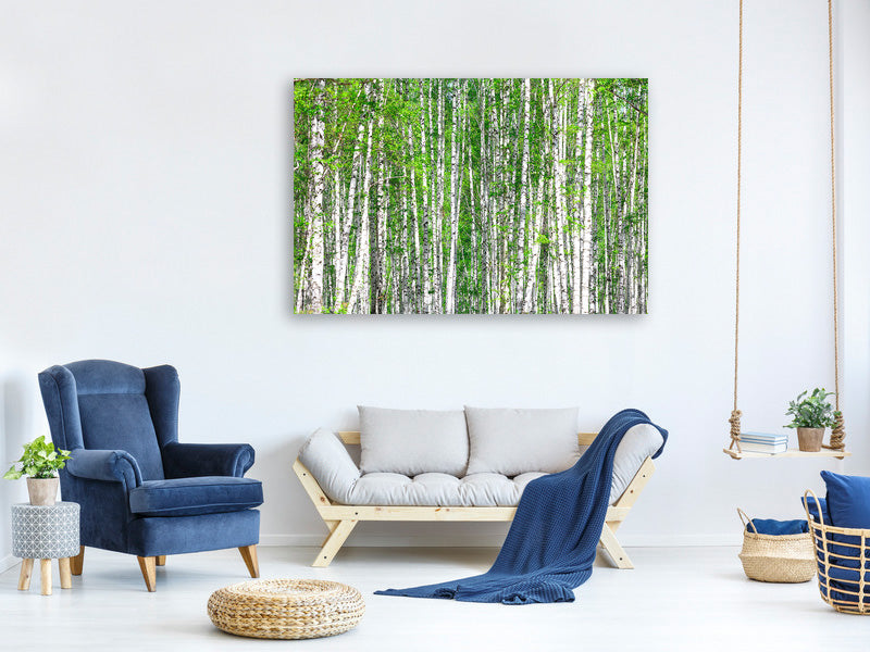 modern-3-piece-canvas-print-the-birch-forest