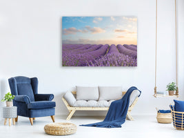 panoramic-3-piece-canvas-print-the-blooming-lavender-field