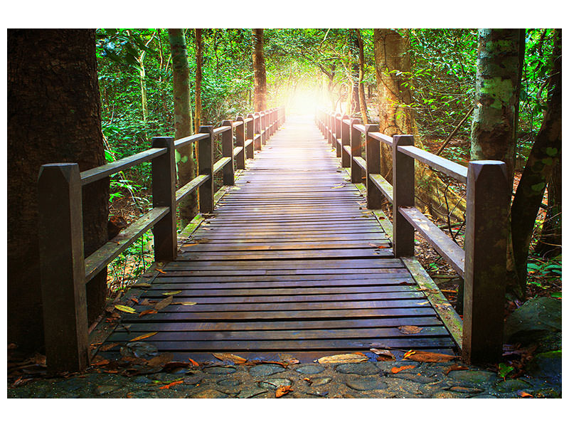 panoramic-3-piece-canvas-print-the-bridge-in-the-forest