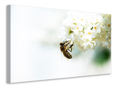 modern-3-piece-canvas-print-the-bumblebee-and-the-flower