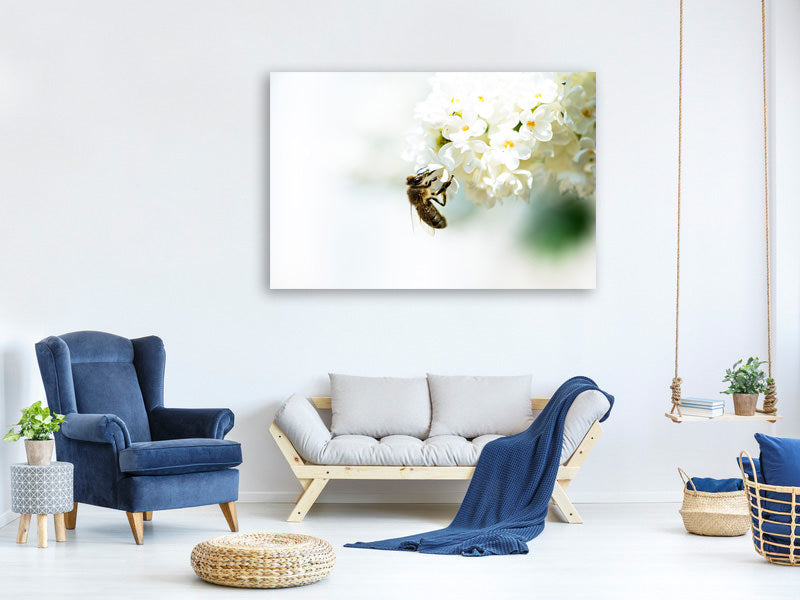 5-piece-canvas-print-the-bumblebee-and-the-flower