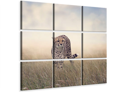 4-piece-canvas-print-the-cheetah