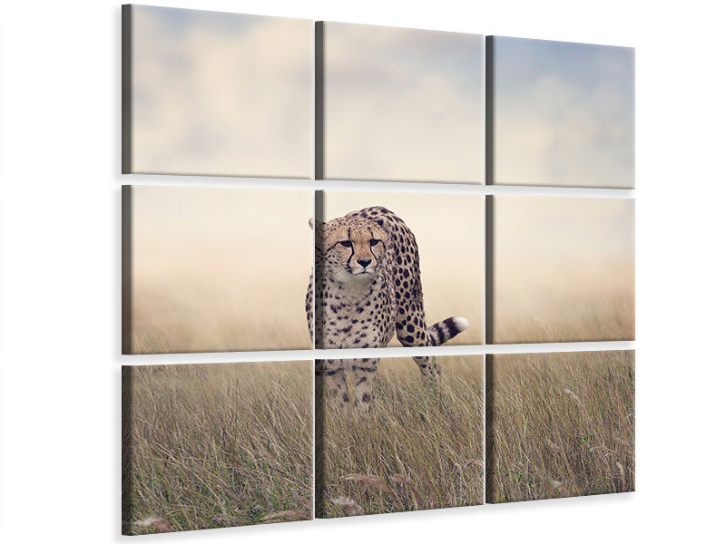 canvas-print-the-cheetah