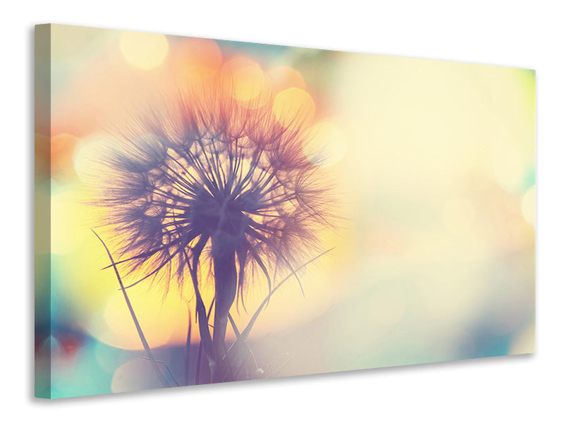 panoramic-3-piece-canvas-print-the-dandelion-in-the-light