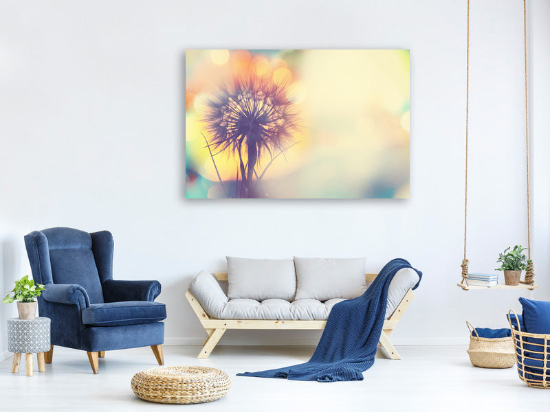 panoramic-canvas-print-the-dandelion-in-the-light