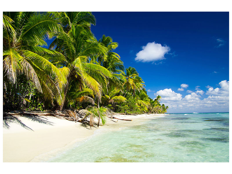 modern-4-piece-canvas-print-the-deserted-island