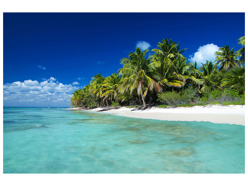 5-piece-canvas-print-the-dream-island