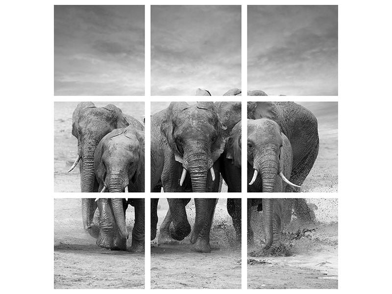 4-piece-canvas-print-the-elephants
