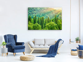 modern-3-piece-canvas-print-the-forest-hill