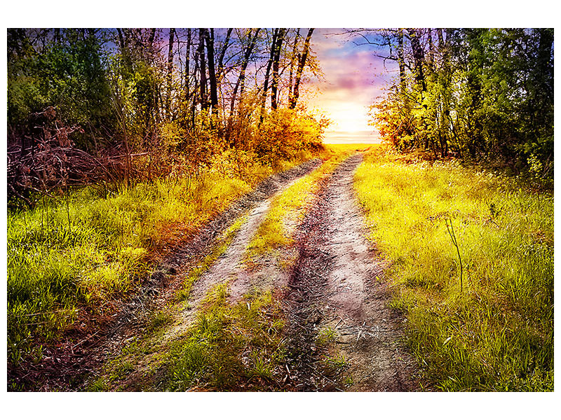 4-piece-canvas-print-the-forest-path