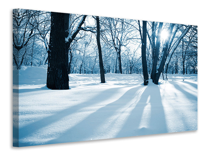 modern-4-piece-canvas-print-the-forest-without-tracks-in-the-snow