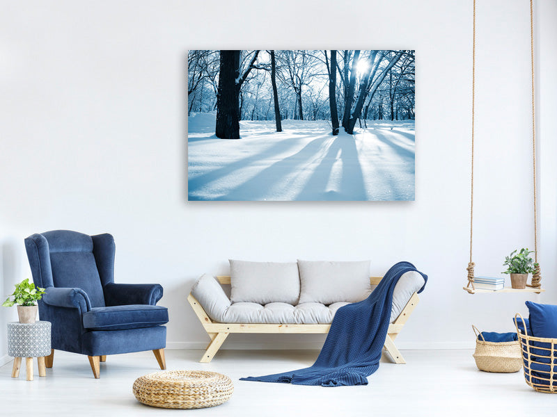 5-piece-canvas-print-the-forest-without-tracks-in-the-snow