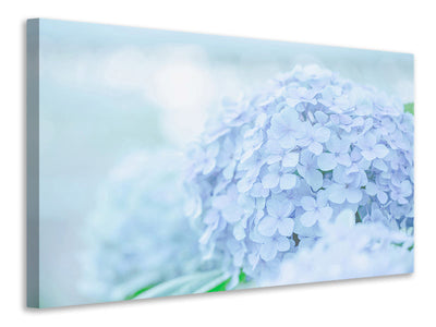 modern-3-piece-canvas-print-the-hydrangea