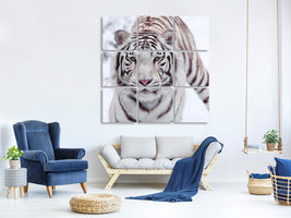 canvas-print-the-king-tiger