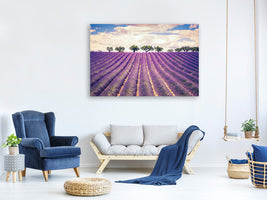 modern-4-piece-canvas-print-the-lavender-field-ii