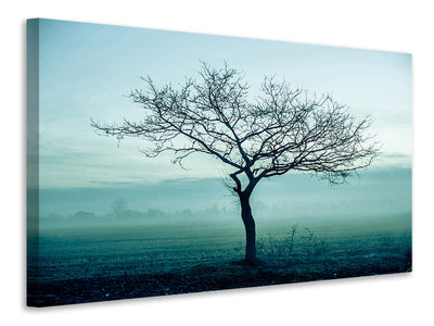 3-piece-canvas-print-the-magic-tree
