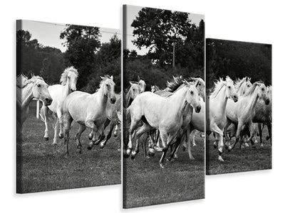 3-piece-canvas-print-the-mustang-herd