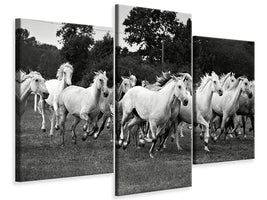 4-piece-canvas-print-the-mustang-herd