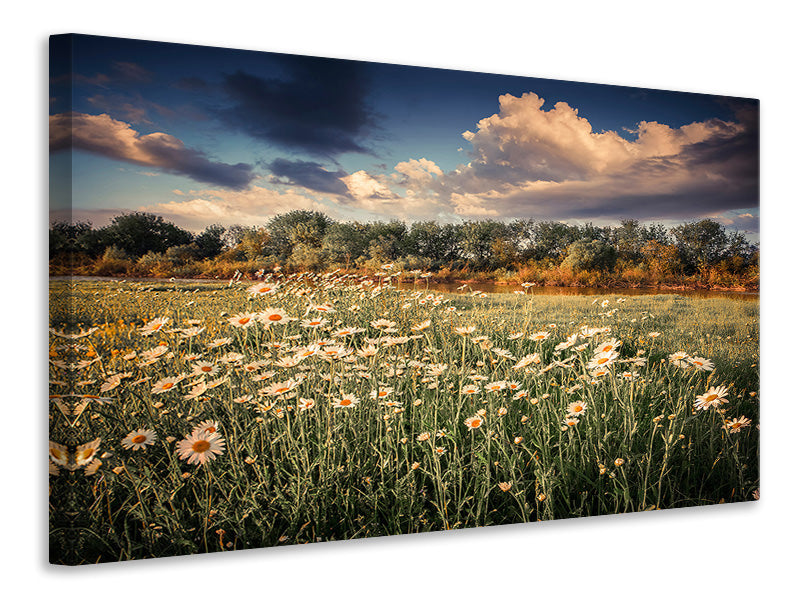 panoramic-canvas-print-the-ox-on-the-river