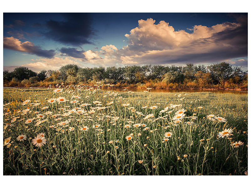 panoramic-3-piece-canvas-print-the-ox-on-the-river
