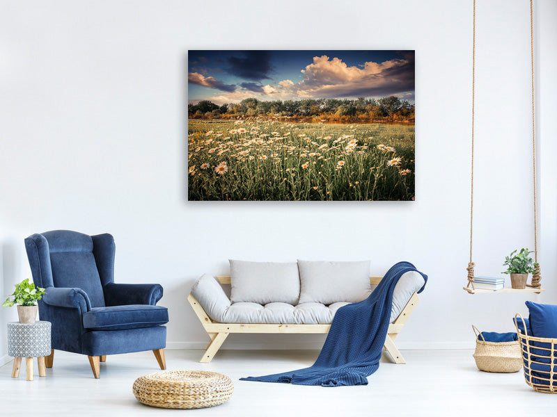 panoramic-3-piece-canvas-print-the-ox-on-the-river